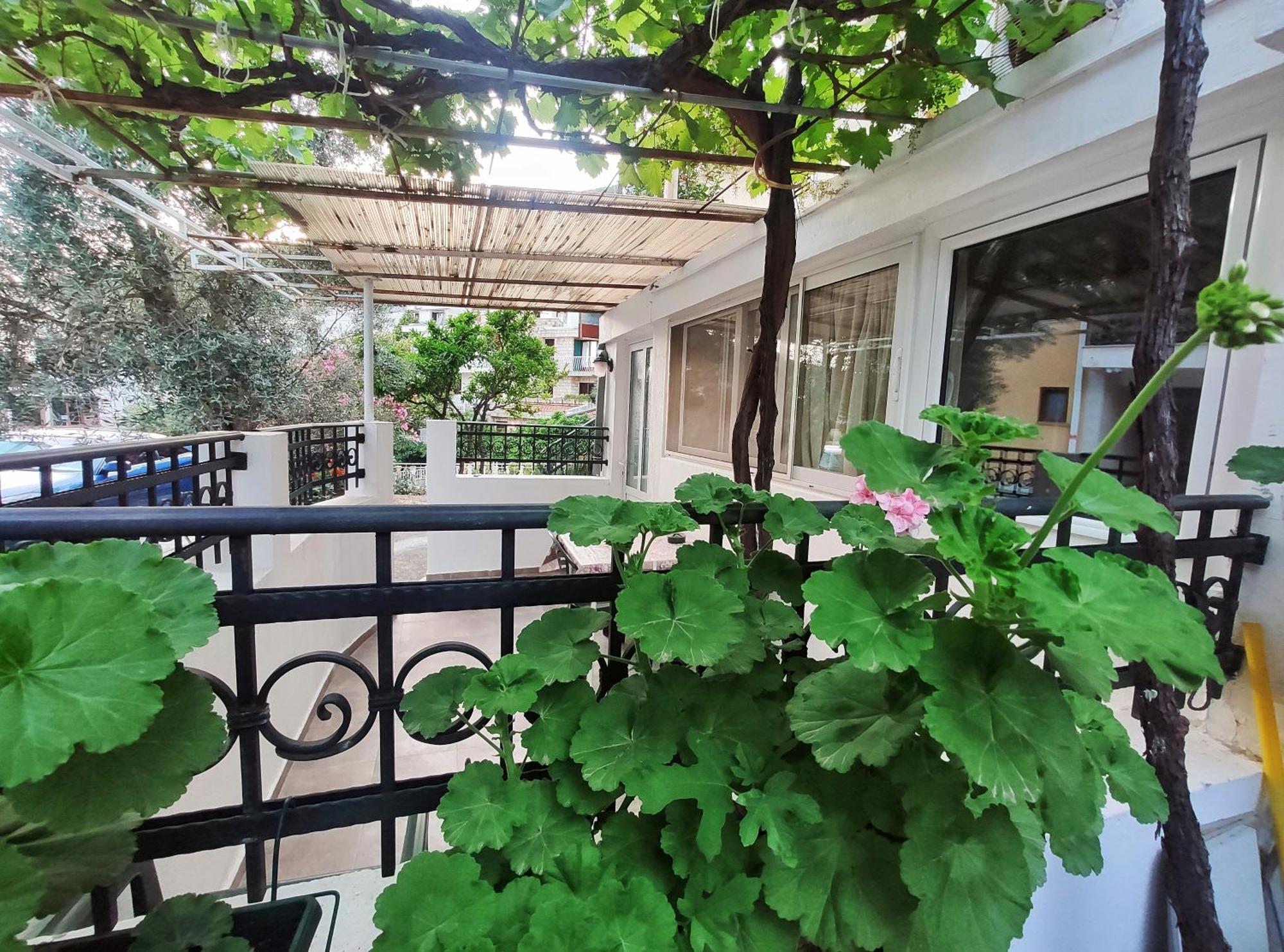 Apartments Gvozdenovic Petrovac Ngoại thất bức ảnh